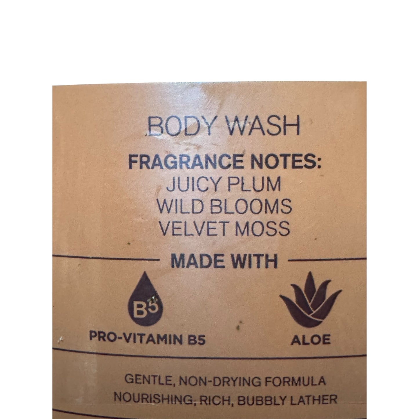 Bath & Body Works Fall In Bloom Body Wash & Fine Fragrance Mist Set NEW
