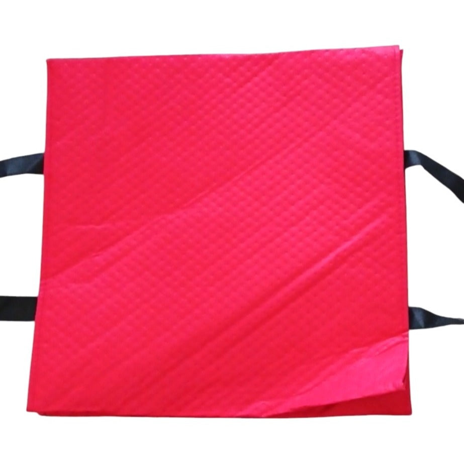 Doordash Red Insulated Pizza Delivery Bag
