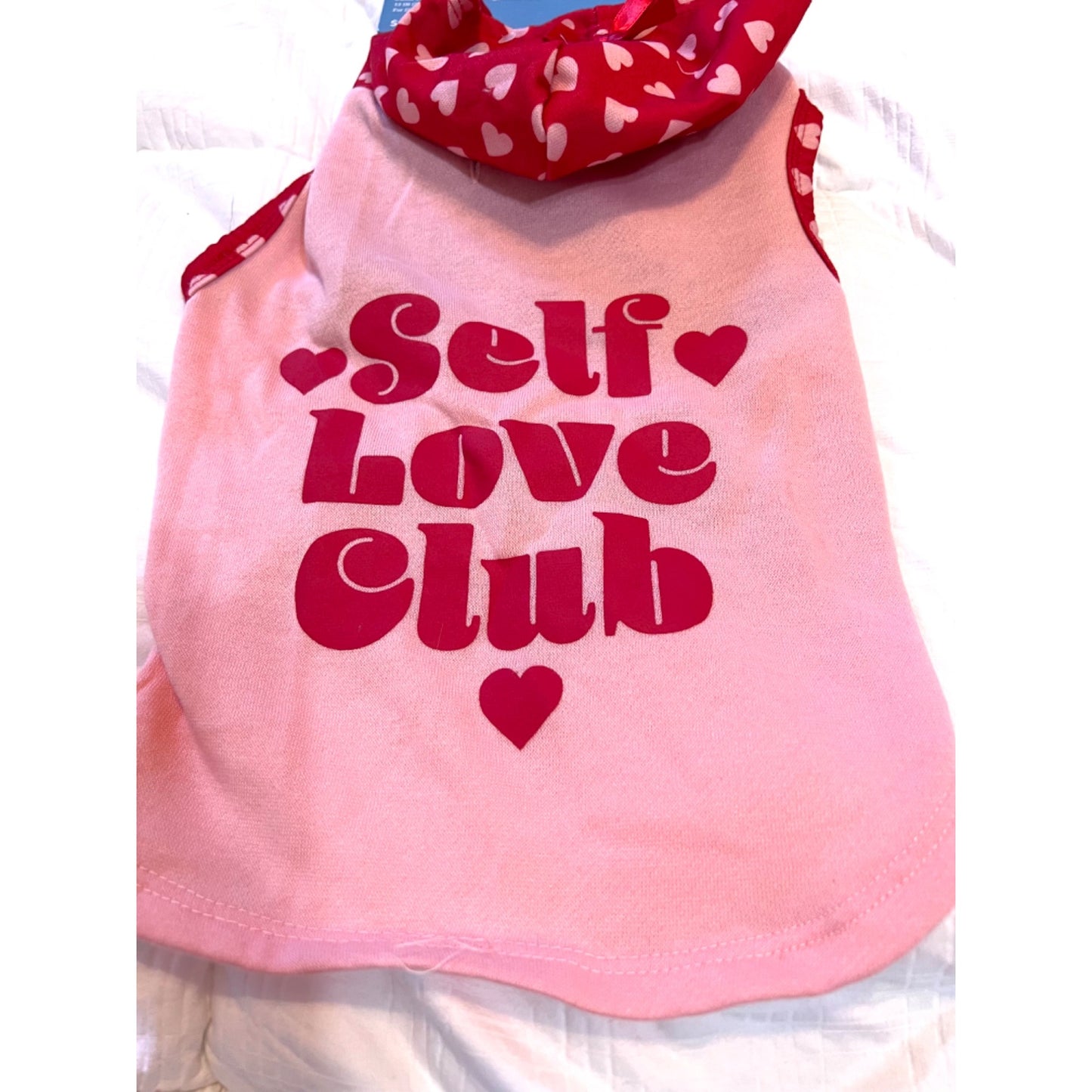 Vibrant Life Valentine Pet Hoodie Small