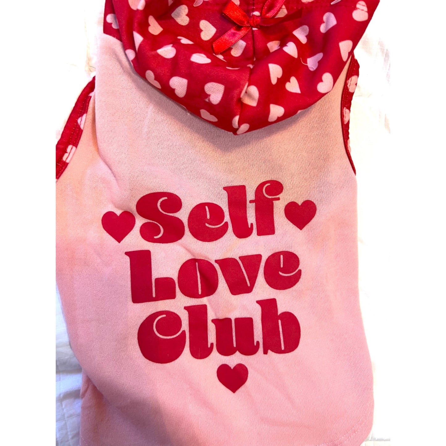 Vibrant Life Valentine Pet Hoodie Small