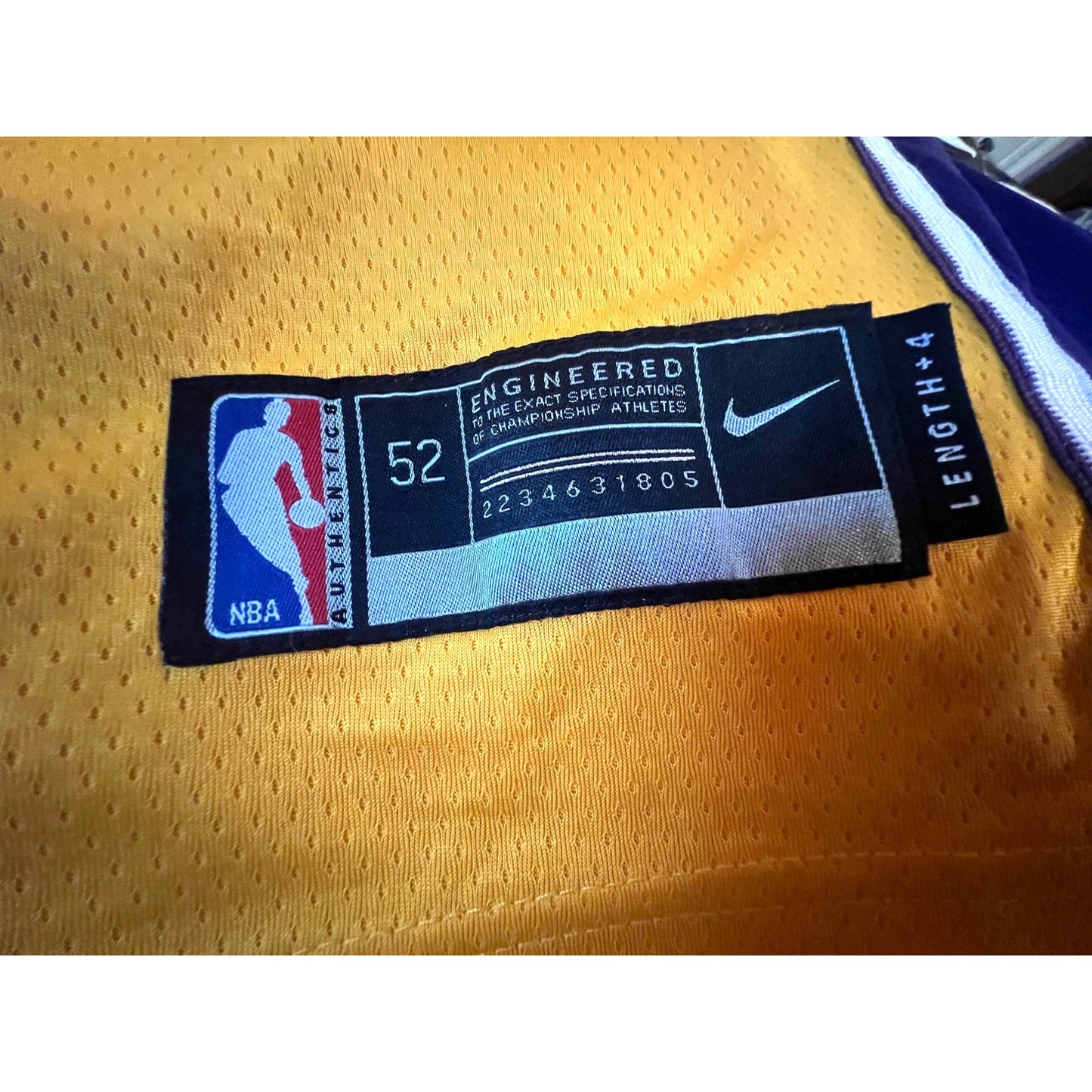 Nike Wish Los Angeles Lakers LeBron James 23 Jersey Men's XL (52)