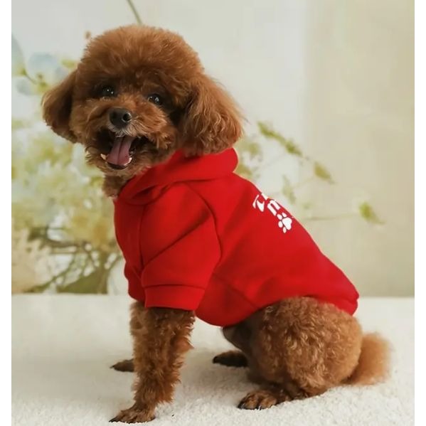Trouble Make XS Pet Dog Hoodie Apparel NWOT