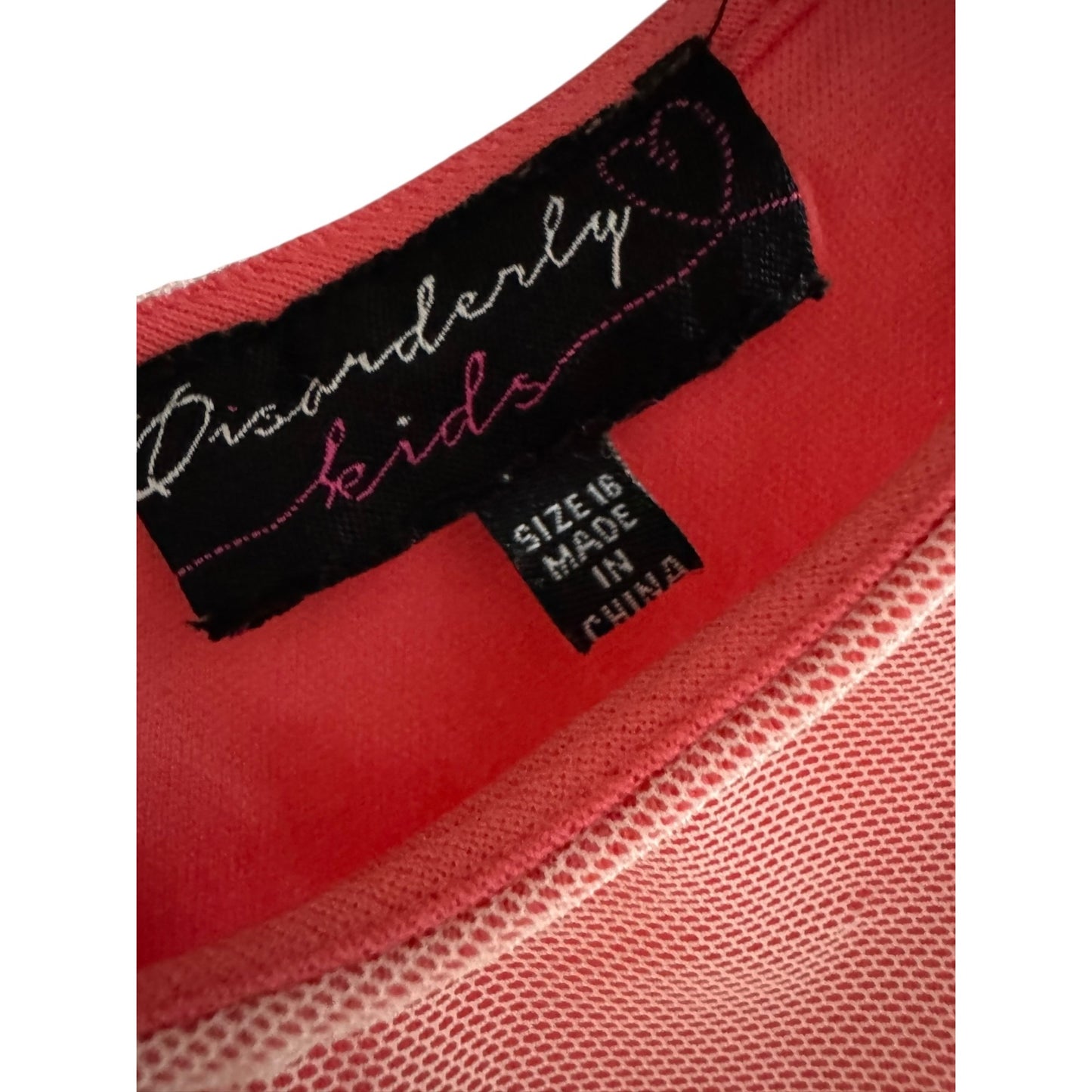 Disorderly Kids Girls Pink & Red Sleeveless Floral Embroidered Tulle Dress Size 16