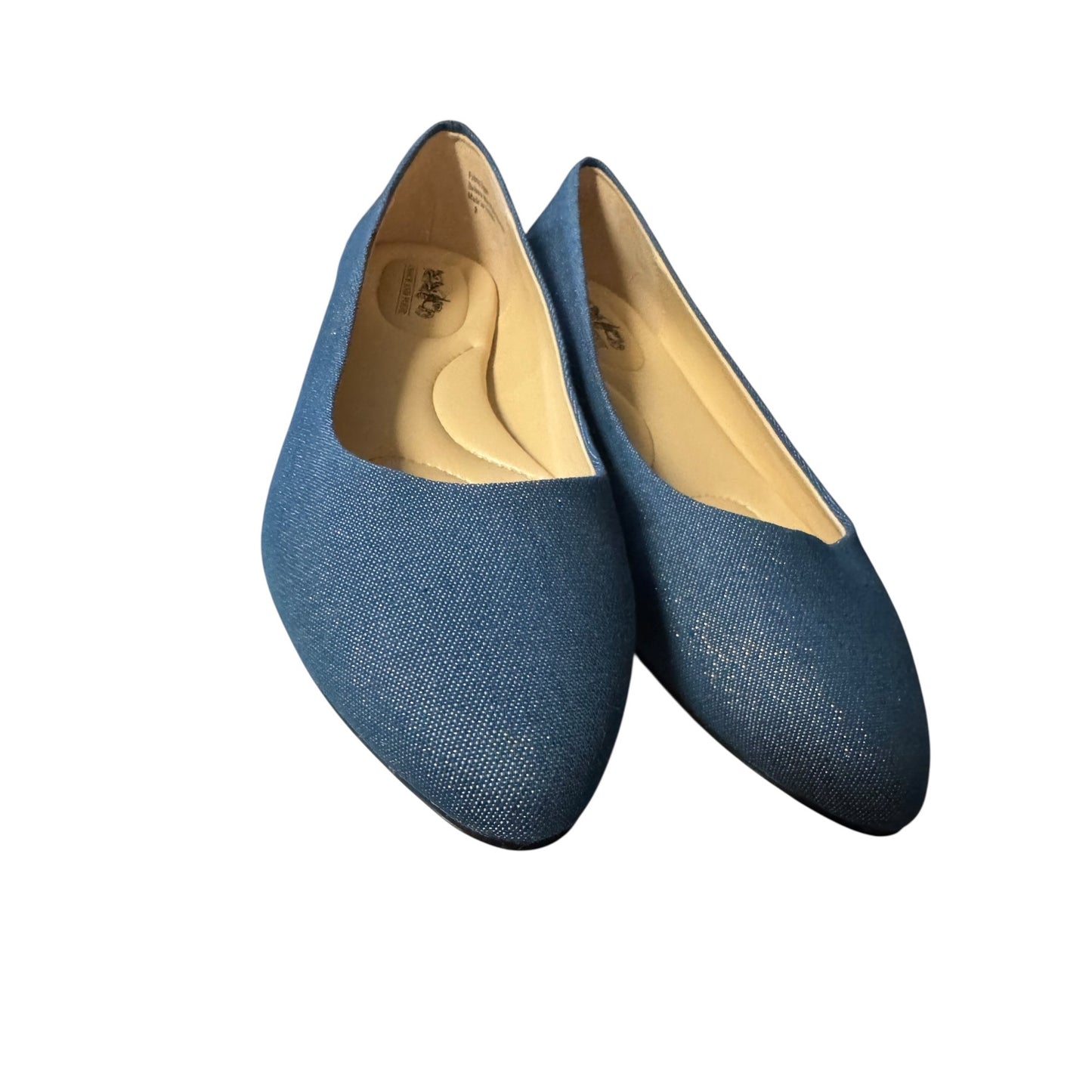 Coach & Four Women's Blue Glitter Pointed Toe Ballet Flats Size 8 NWOT