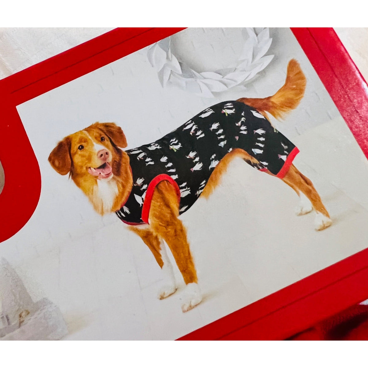 Holiday-Themed Dog Pj’s SZ Small NWOT
